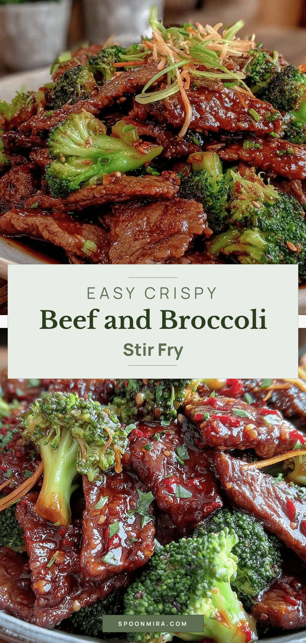 beef and broccoli stir fry recipe