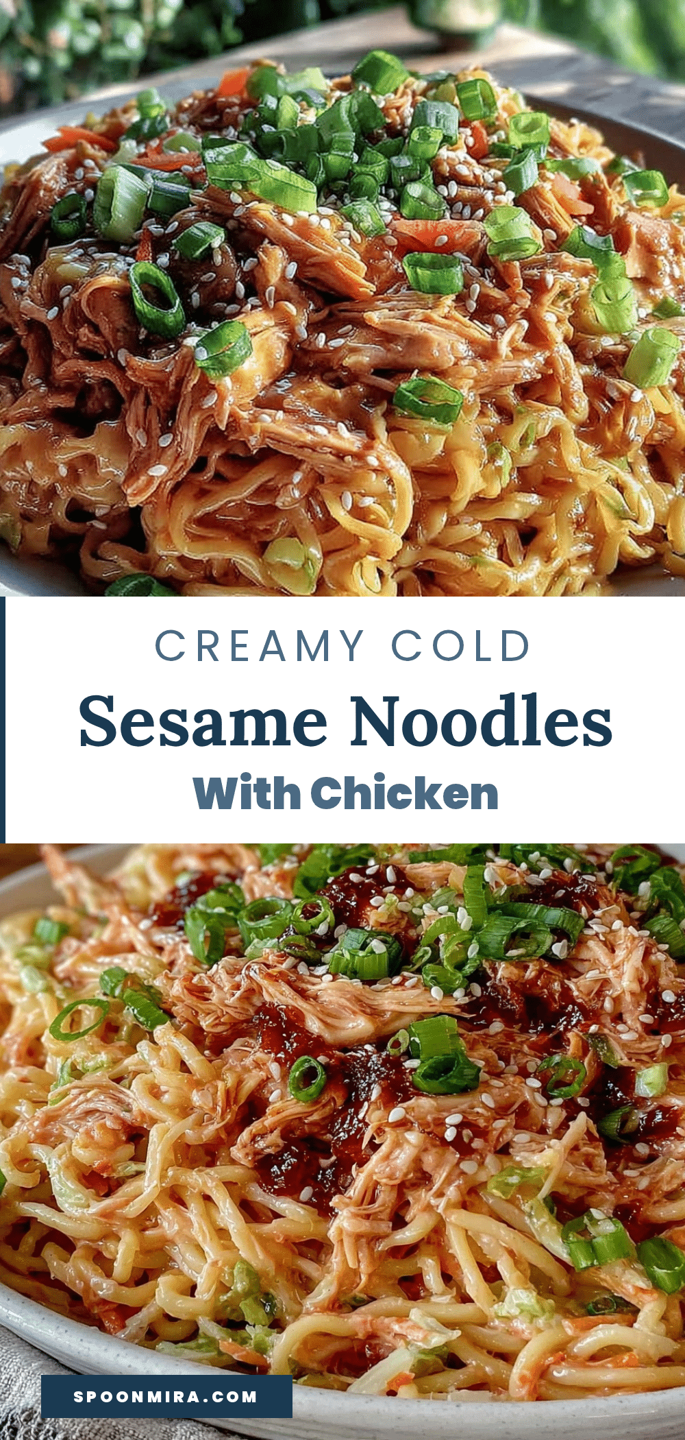 creamy cold sesame noodles with shredded chicken recipe