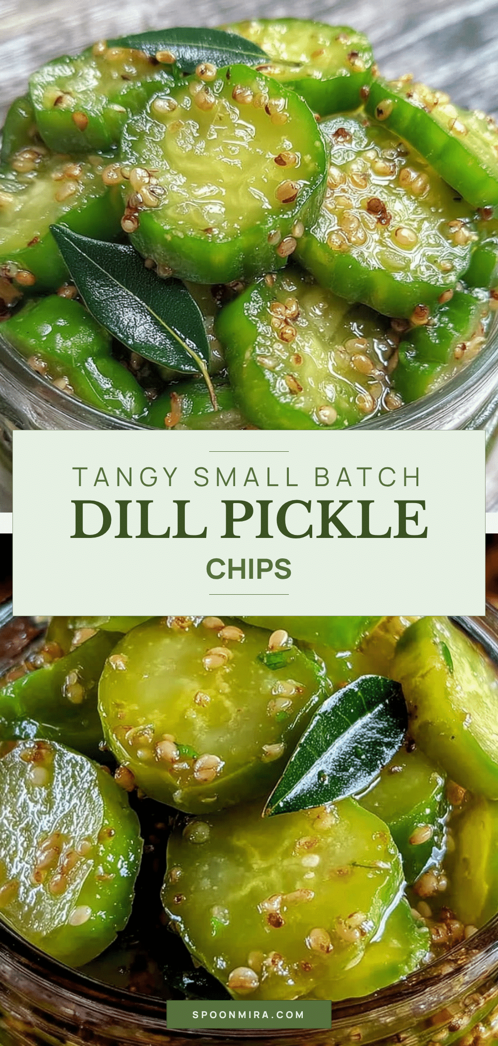 fresh small batch dill pickle chips recipe