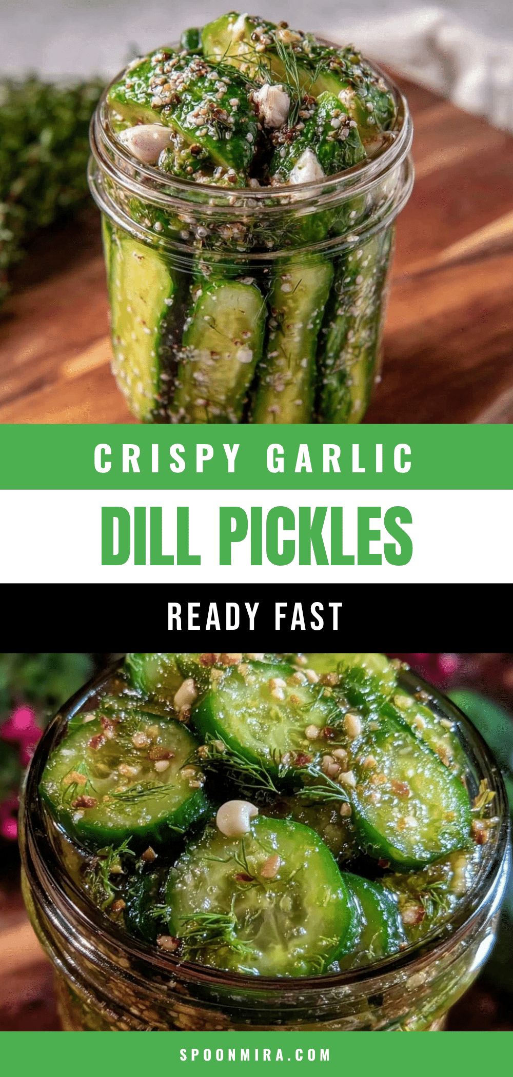 garlic dill refrigerator pickles recipe