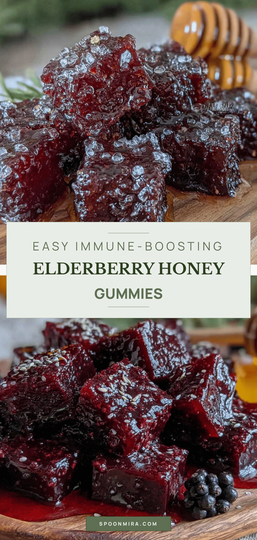 healthy homemade elderberry gummies recipe