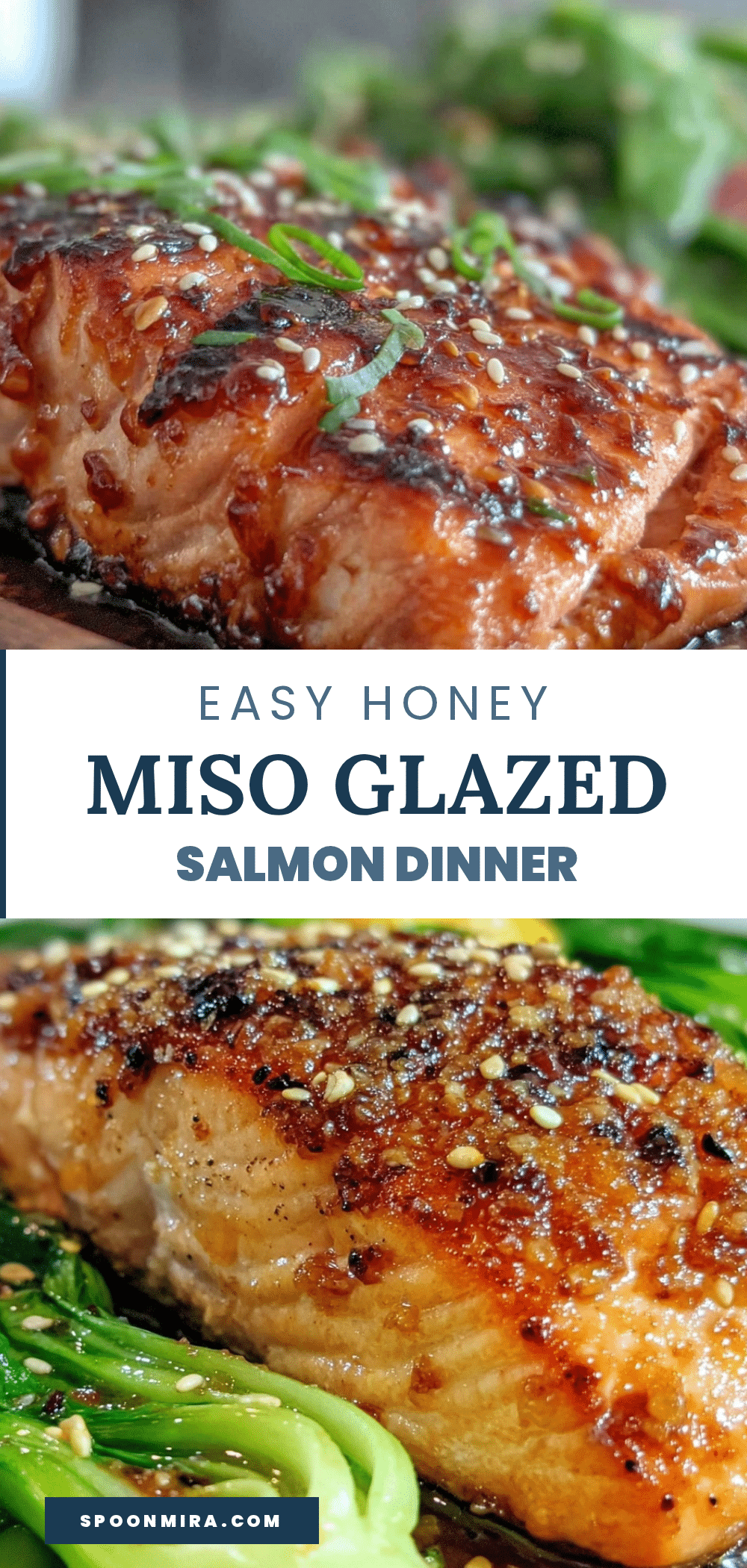 honey miso glazed salmon recipe