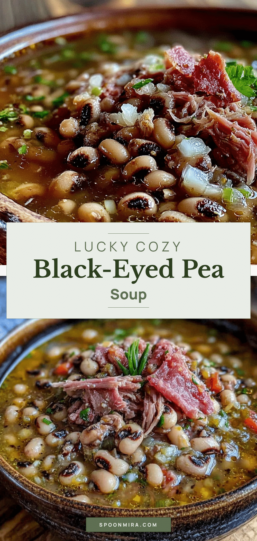 black-eyed pea and ham soup recipe