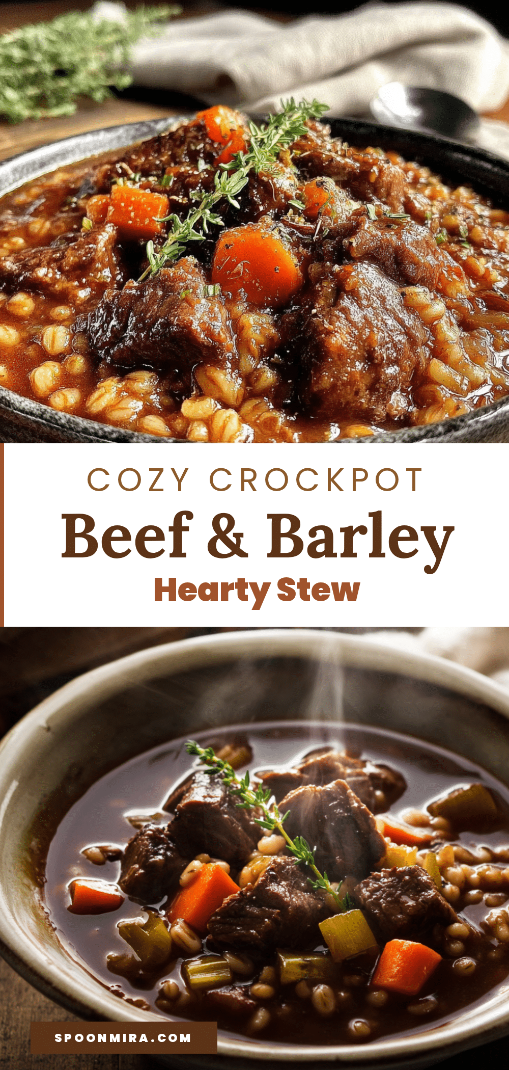 cozy crockpot beef and barley stew recipe