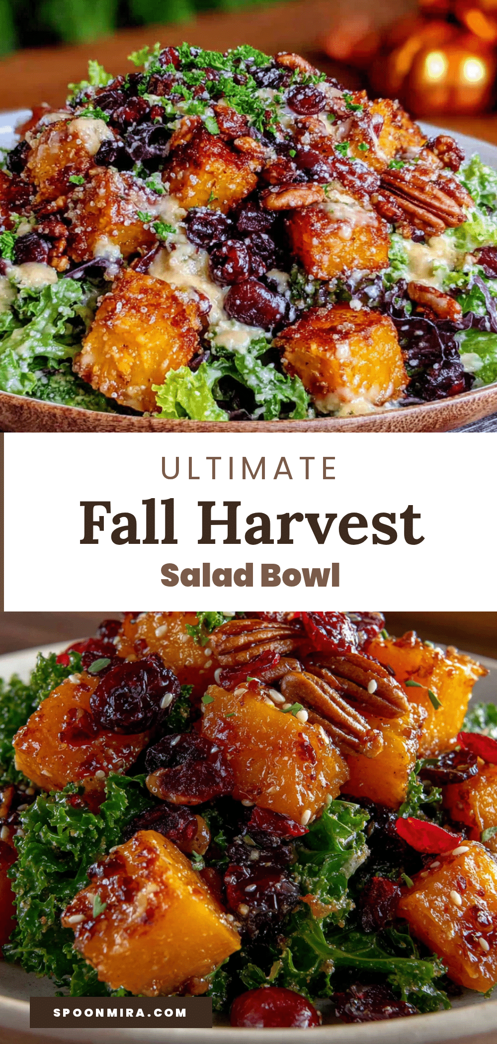 Perfect Fall Harvest Salad with Roasted Butternut Squash recipe