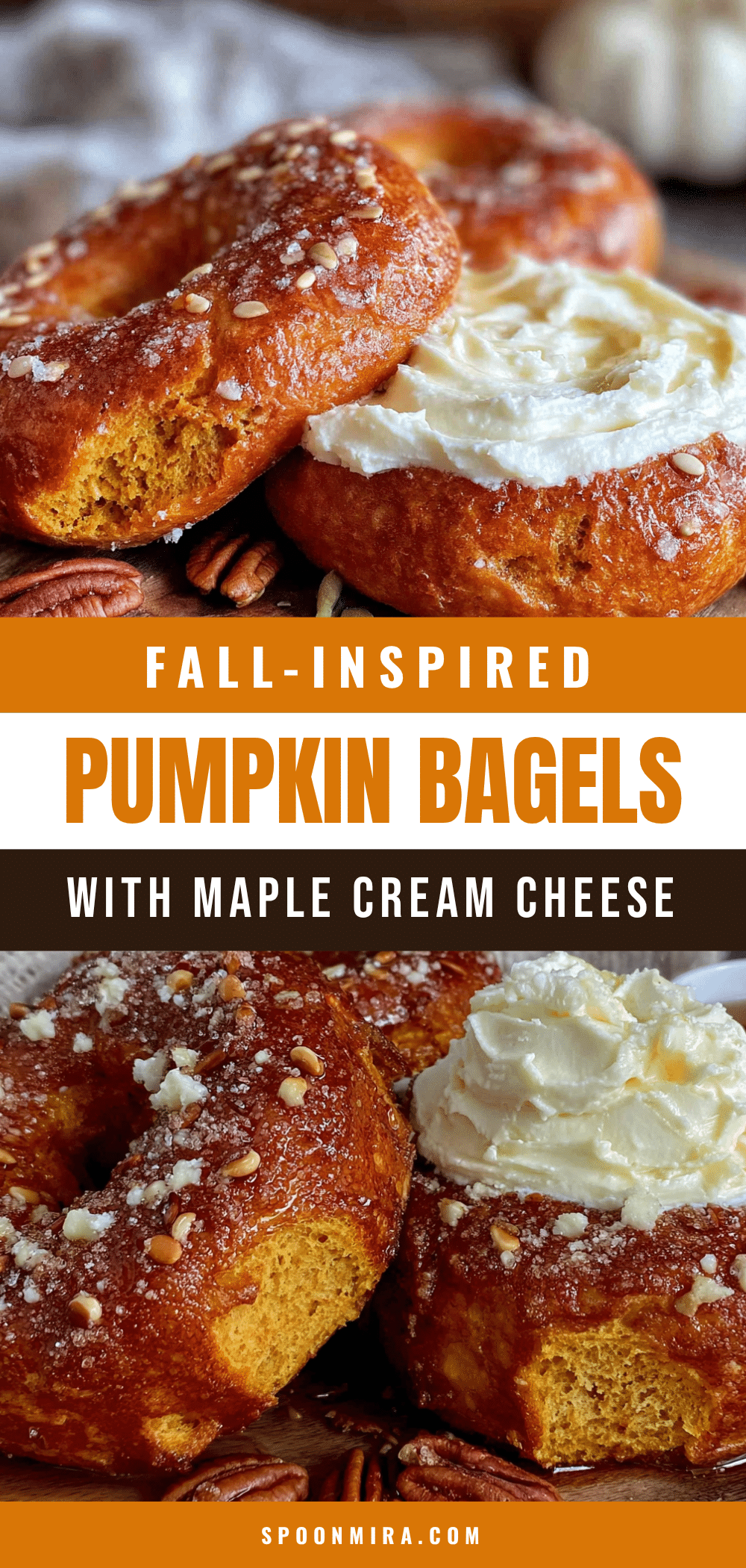pumpkin bagels recipe