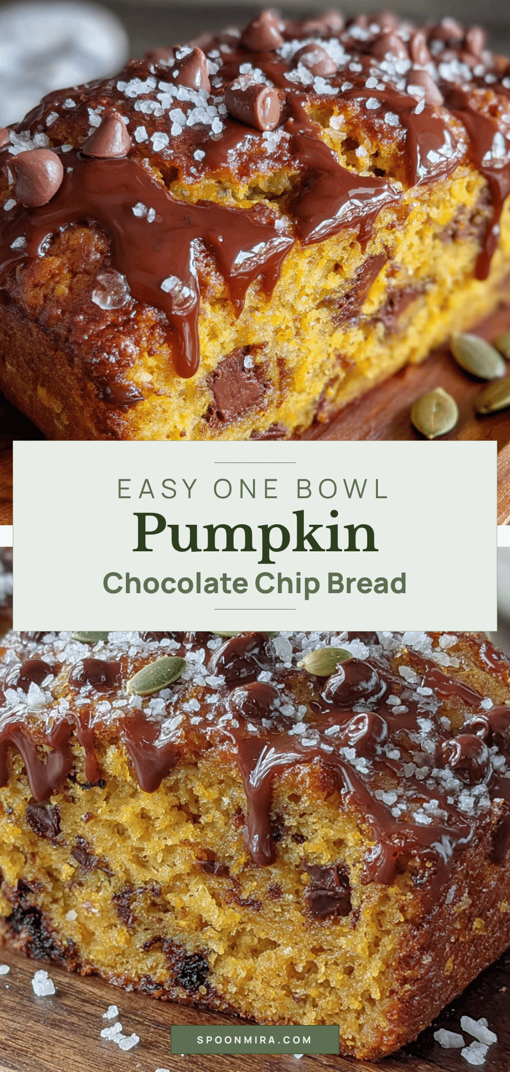 pumpkin chocolate chip bread recipe