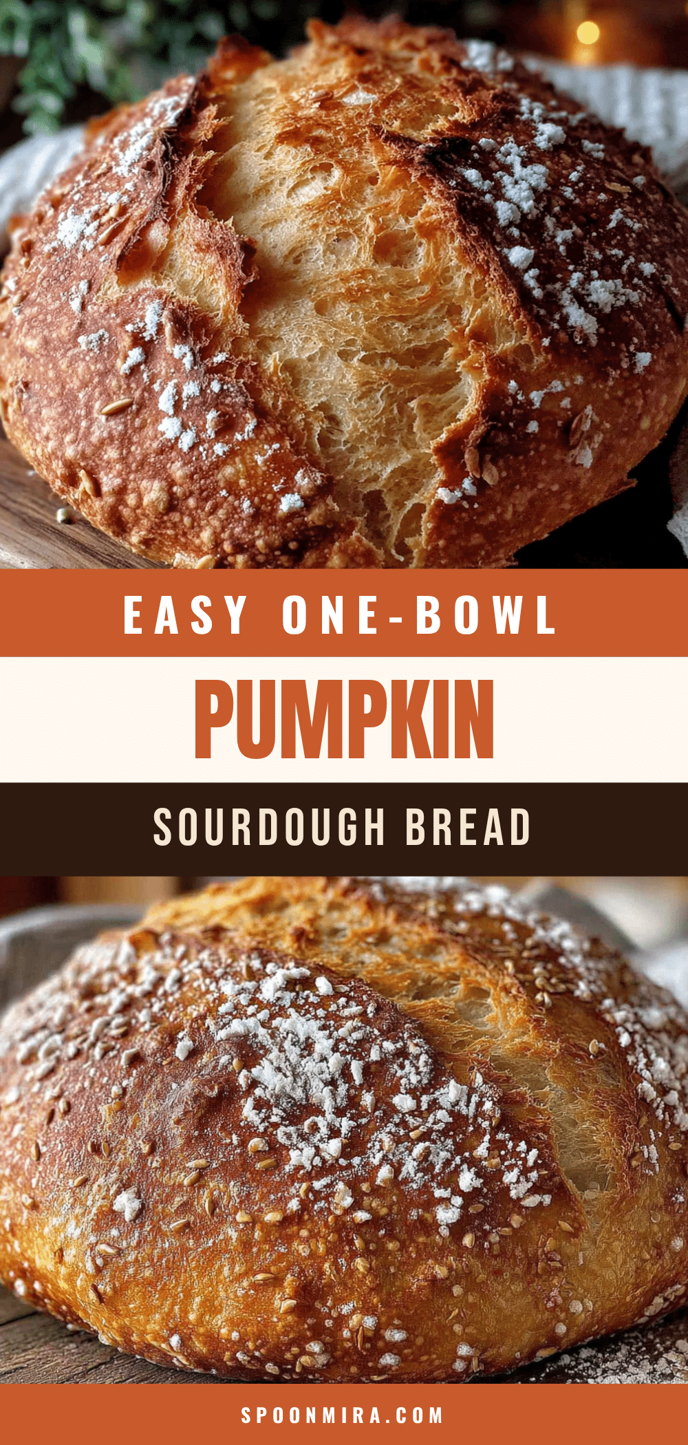 pumpkin sourdough discard bread recipe