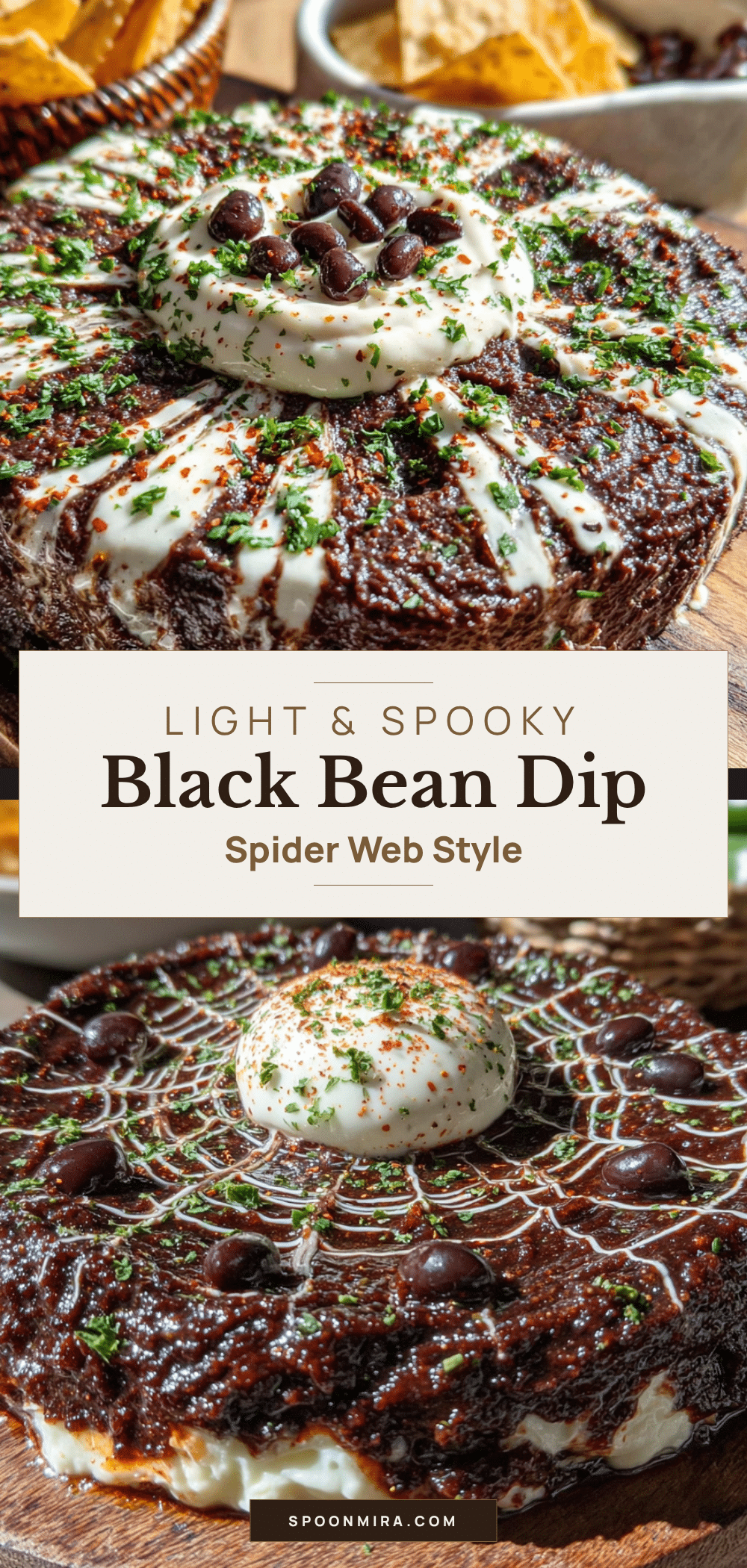 black bean spider web dip recipe