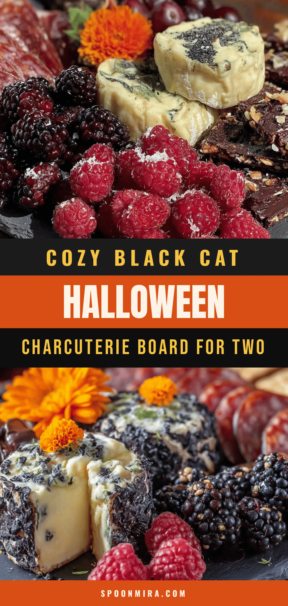 cozy black cat halloween charcuterie board recipe