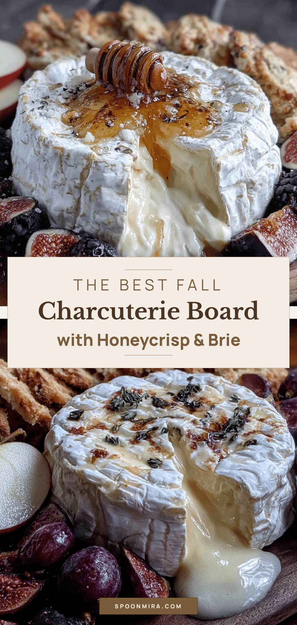 fall charcuterie board with honeycrisp apples and brie recipe