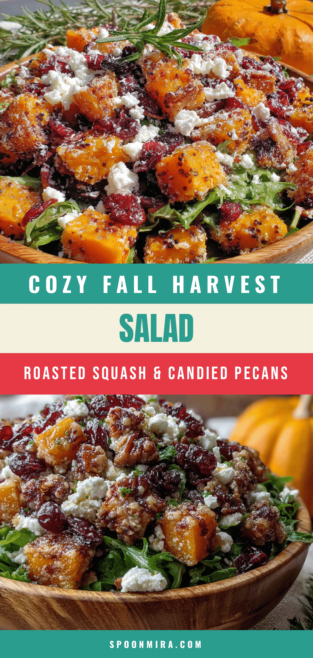 fall harvest salad recipe