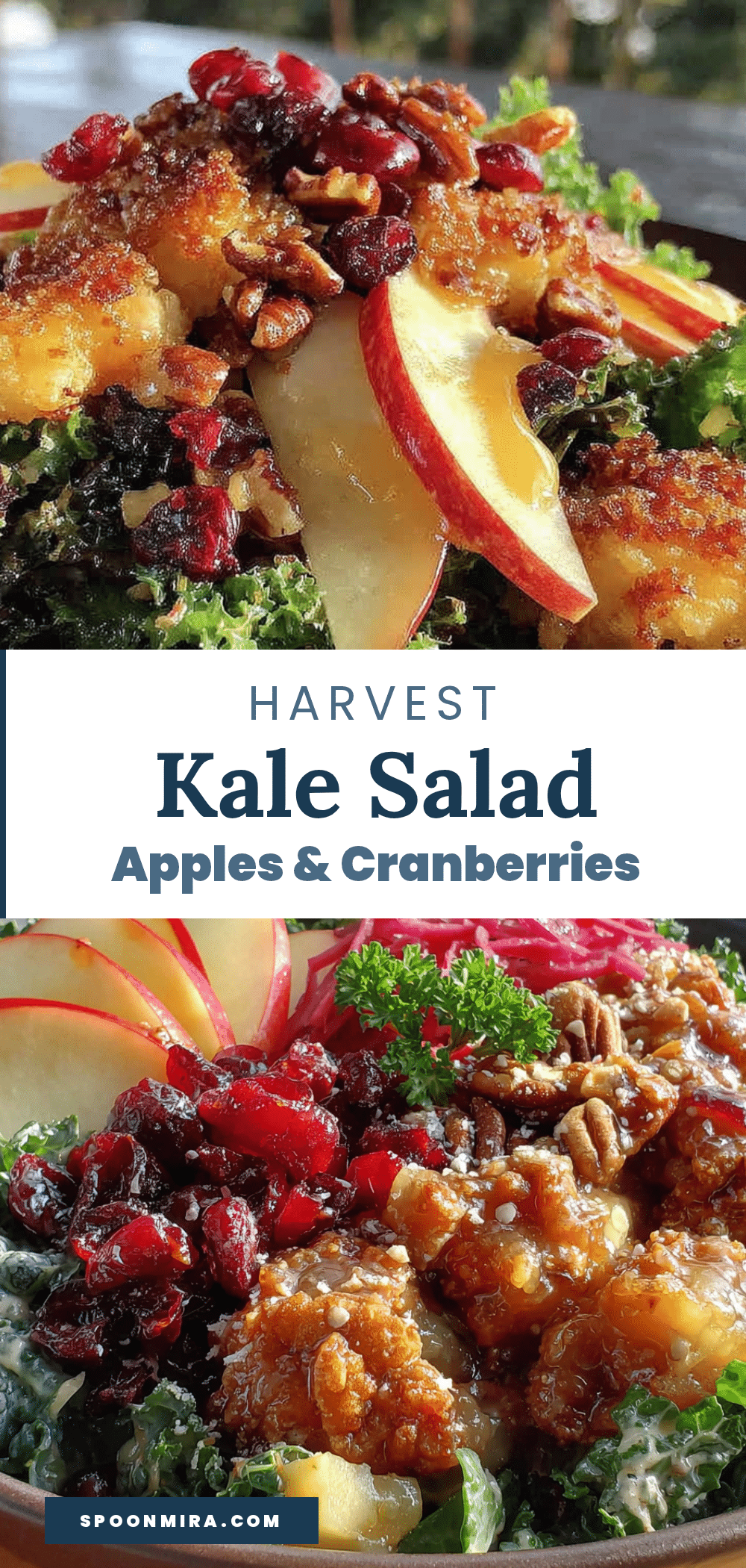 fresh harvest kale salad with apples and cranberries recipe