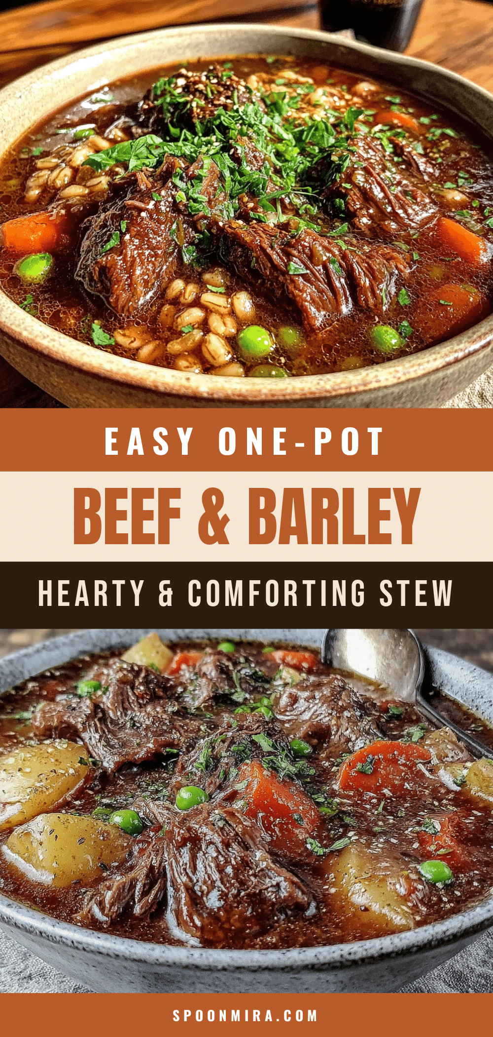 beef and barley stew recipe