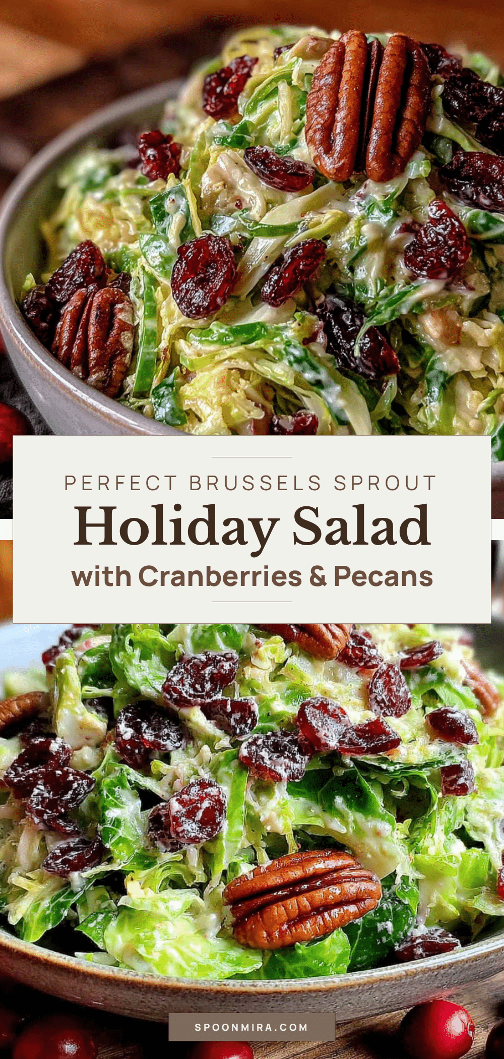 brussels sprout holiday salad recipe