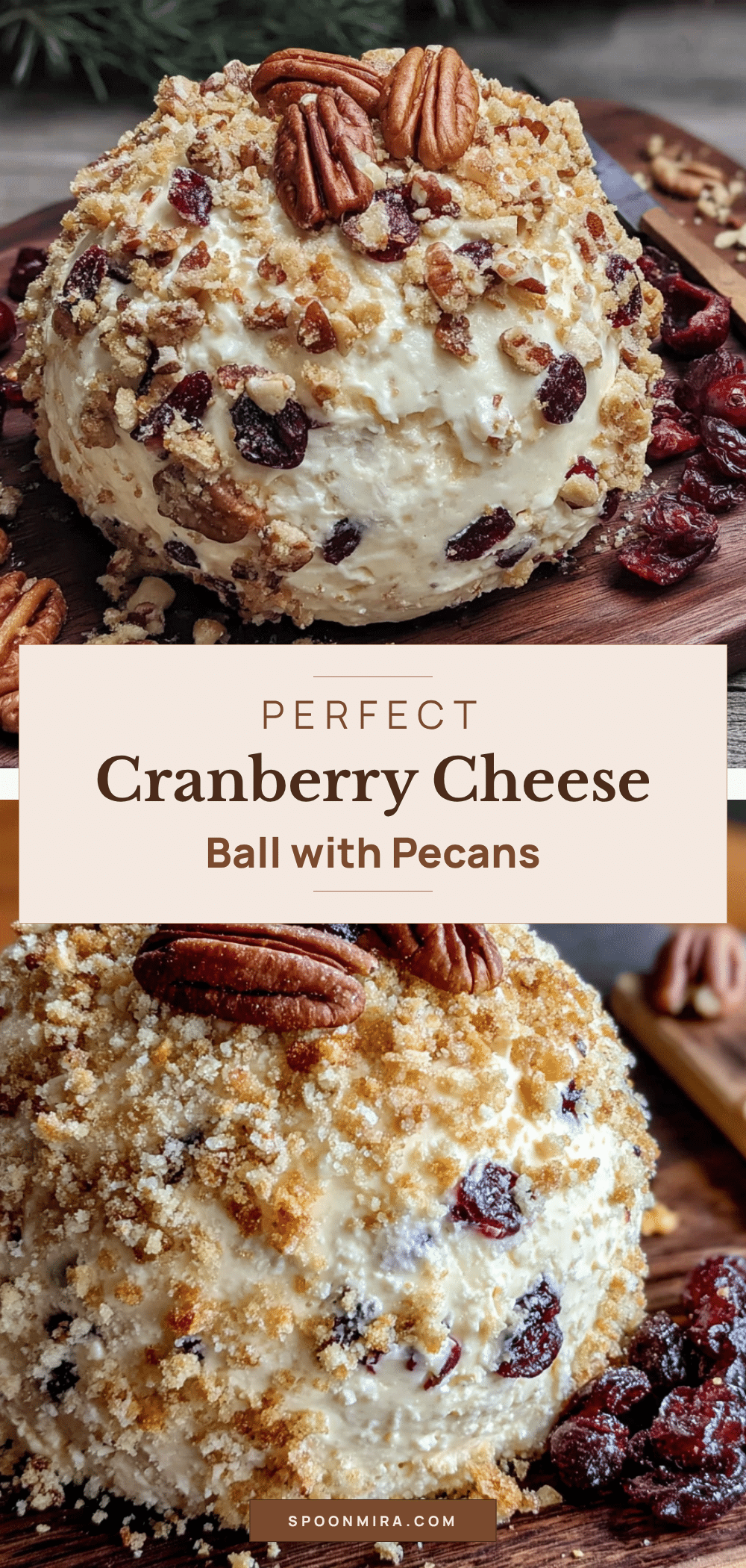 cranberry cheese ball recipe